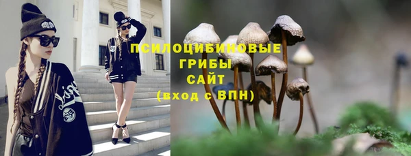 дживик Алексин