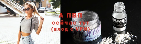 дживик Алексин