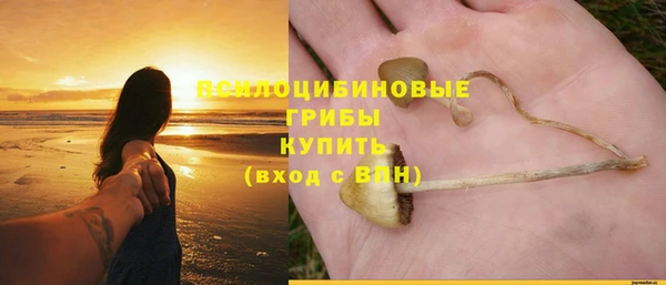дживик Алексин