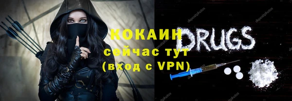 дживик Алексин
