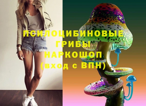 круглые Алексеевка