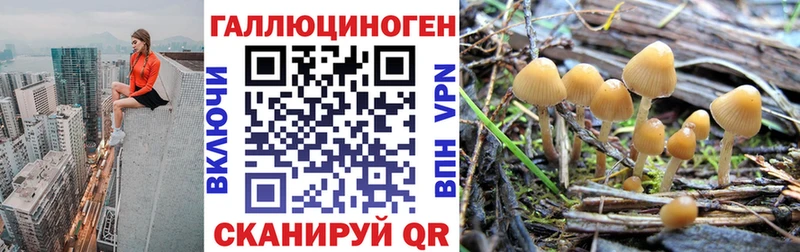 ссылка на мегу ТОР  Агидель  darknet как зайти  Галлюциногенные грибы GOLDEN TEACHER 